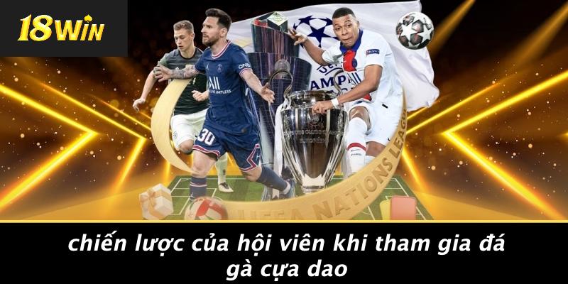 Chiến Lược Của Hội Viên Khi Tham Gia Đá Gà Cựa Dao