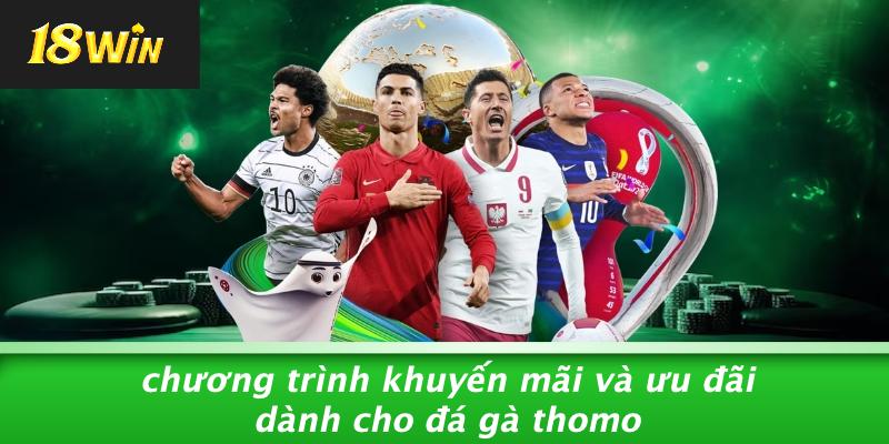 Chương trình khuyến mãi và ưu đãi dành cho đá gà thomo